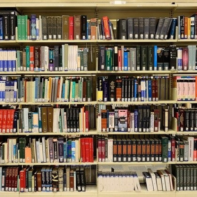 Quantas bibliotecas postiças estão por desabar por aí ?
