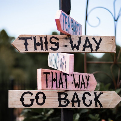 SILVEIRAS SELVAGENS E O MANICÔMIO